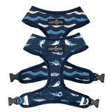 SHARK ATTACK HARNESS