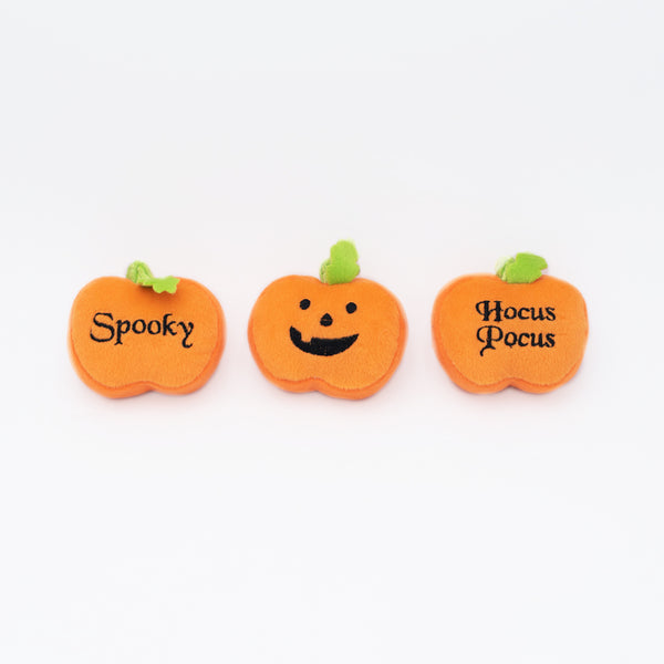 MINI PUMPKINS Dog Toy