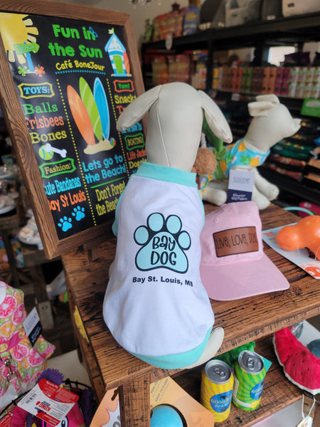 Aqua Raglan Bay Dog Shirt