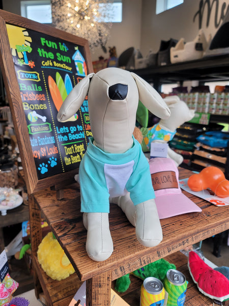 Aqua Raglan Bay Dog Shirt