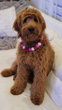 Pom Pom Necklaces