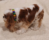 Pom Pom Necklaces
