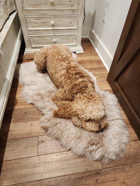 SHEEPSKIN BED