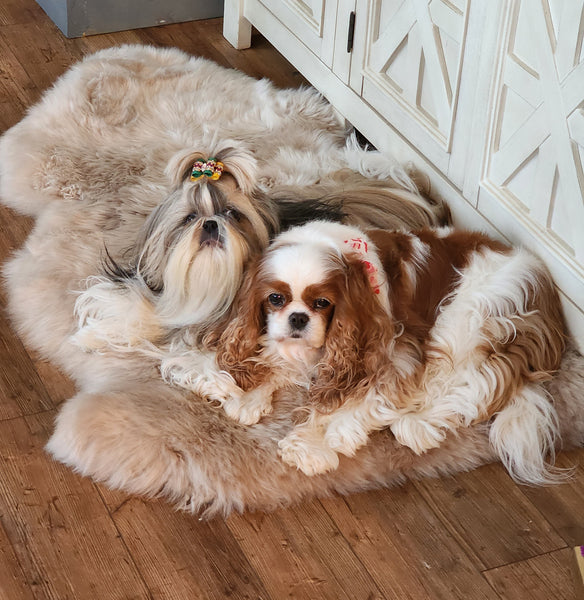 SHEEPSKIN BED