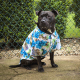 Hawaiian Dog Shirt