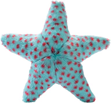 ALLY STARFISH