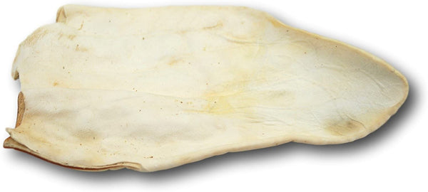 Jumbo White Cow Ear