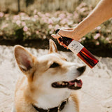 Natural Flea with Tick Spray for Dogs