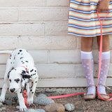 Coral Waterproof Collar