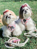 Dove Cotton Rope Dog Leash