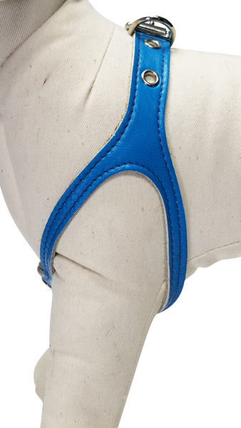 Neon Blue Leather Harness