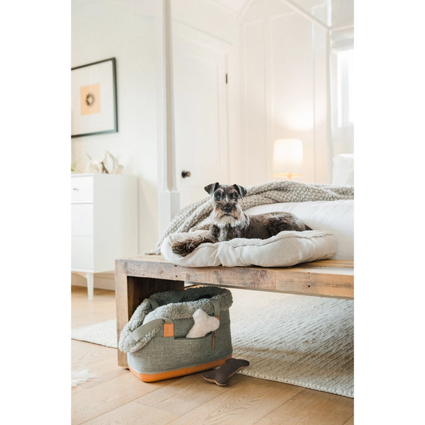 GRAY DELUXE PET CARRIER
