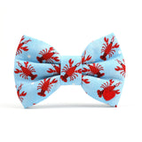 Bow Tie - Sebastian