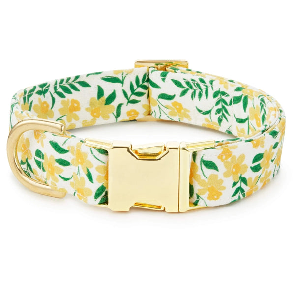 DAFFODILS COLLAR