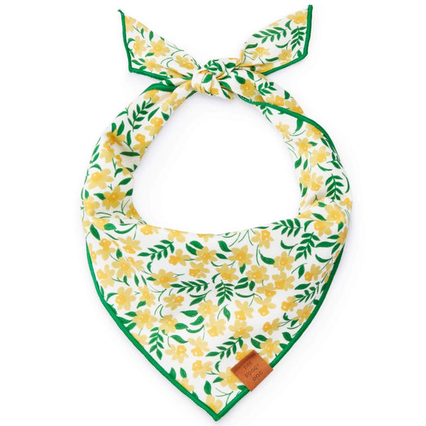 DAFFODILS BANDANA