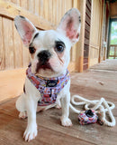 Dove Cotton Rope Dog Leash