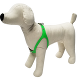 Neon Green Leather Harness