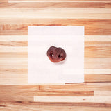 Hog Snout