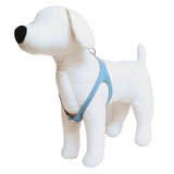 Baby Blue Leather Harness