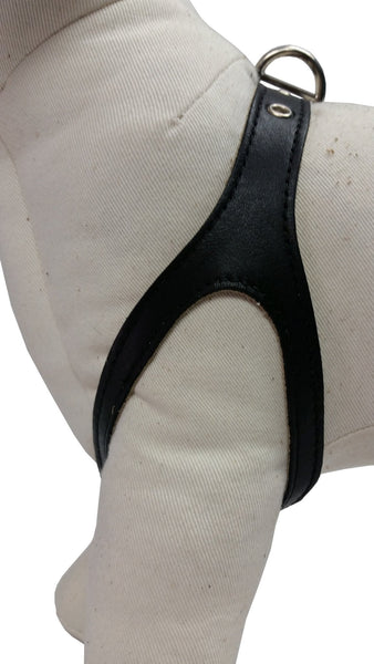 Black Leather Harness