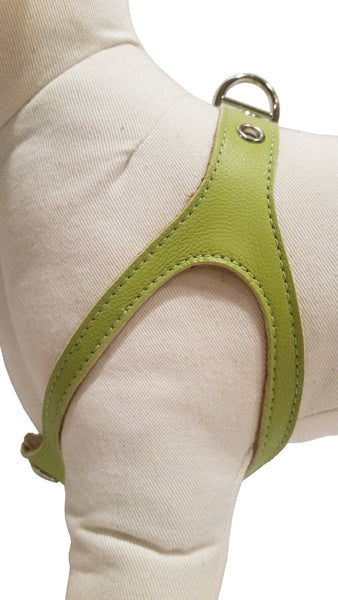 Lime Green Harness