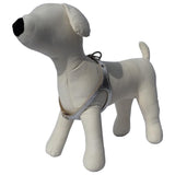 Silver Leather Harness