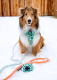 Honeydew Cotton Rope Dog Leash