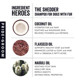 Pride and Groom Shampoo