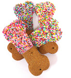 Lucky Puppy Bones w/ Sprinkles