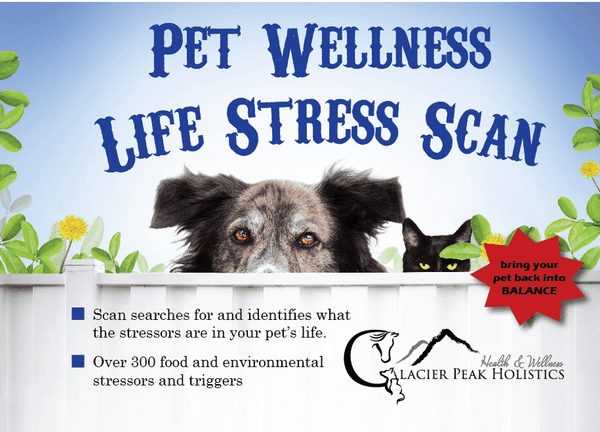 Glacier Peak Wellness Allergy Test