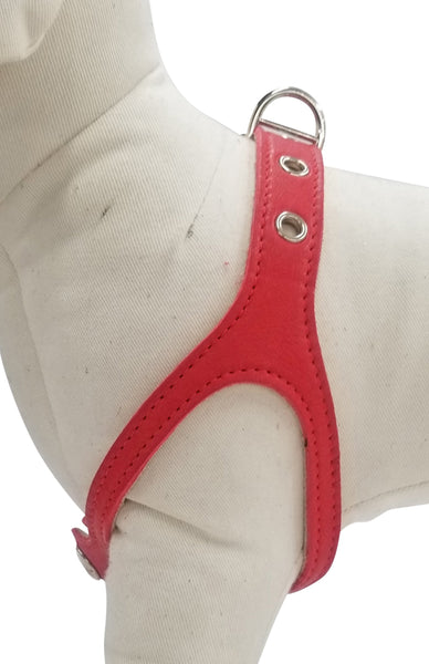 Red Leather Harness
