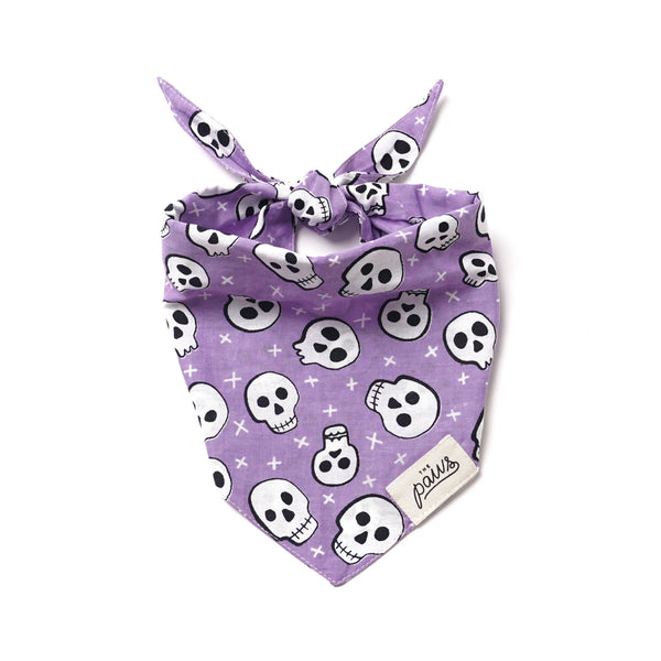 ROGER BANDANA
