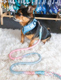 Romance Cotton Rope Dog Leash