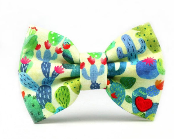 Bow Tie -Cactus