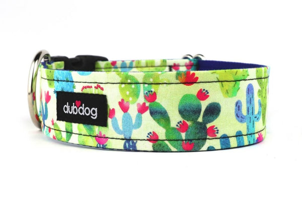 Cactus Dog Collar