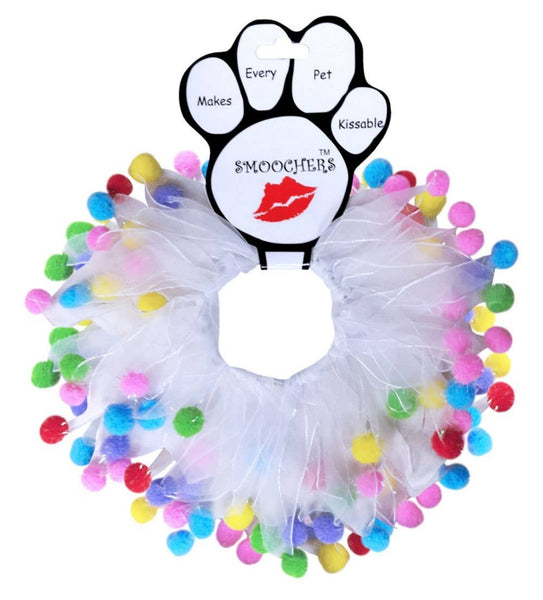 Birthday Fun Collar