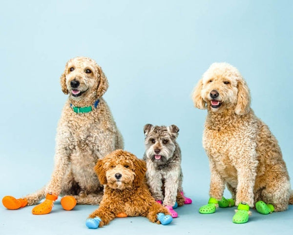 Wag Wellies - Dog Boots