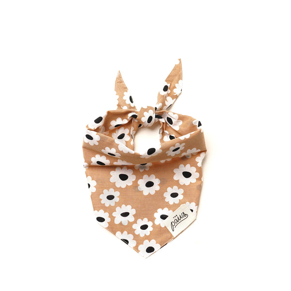 SIERRA DAISIES BANDANA
