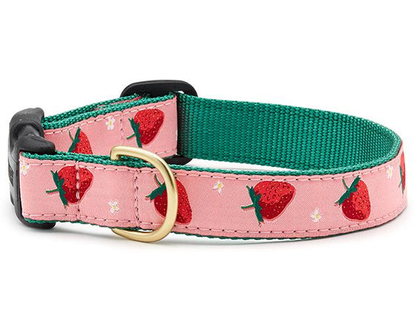 STRAWBERRY DOG COLLAR