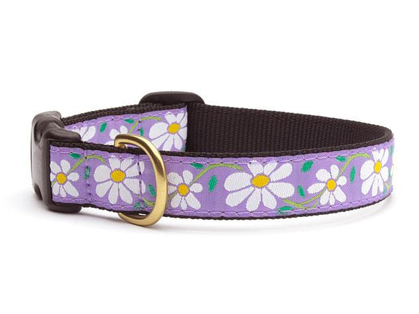 DAISY DOG COLLAR
