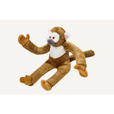 ALBERT MONKEY