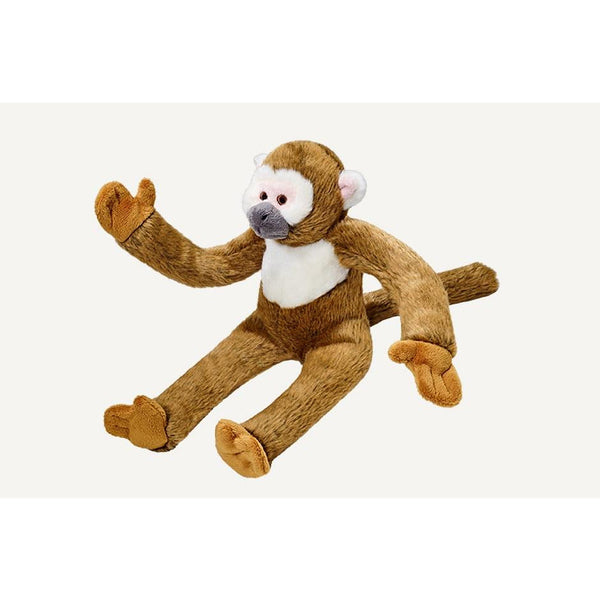 ALBERT MONKEY