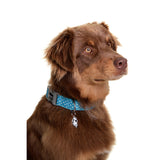 NEOPRENE WATERPROOF COLLAR- Snoopy