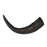 WATER BUFFALO HORNS