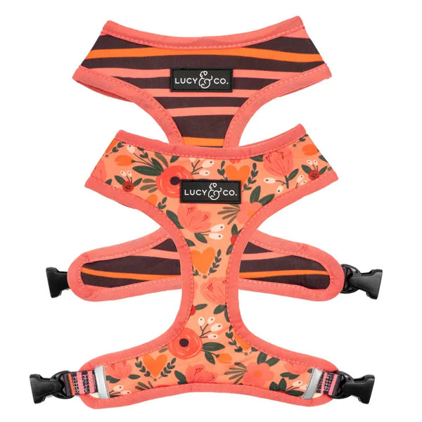 POSY PINK HARNESS