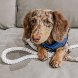 Dove Cotton Rope Dog Leash