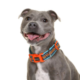 NEOPRENE WATERPROOF COLLAR- Beethoven