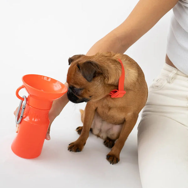 MINI Leak Tight Travel Bottle