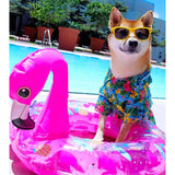 Hawaiian Dog Shirt