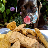 Delightfully Delicious Peanut Butter Treats